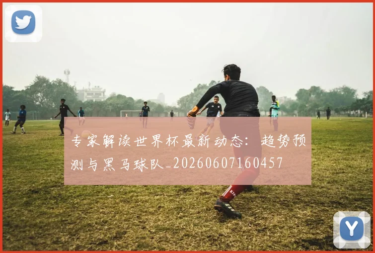 专家解读世界杯最新动态:趋势预测与黑马球队_20260607160457